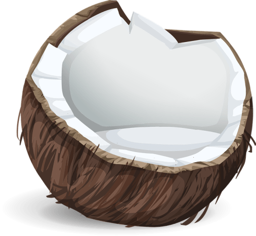 coconuts-575780_960_720