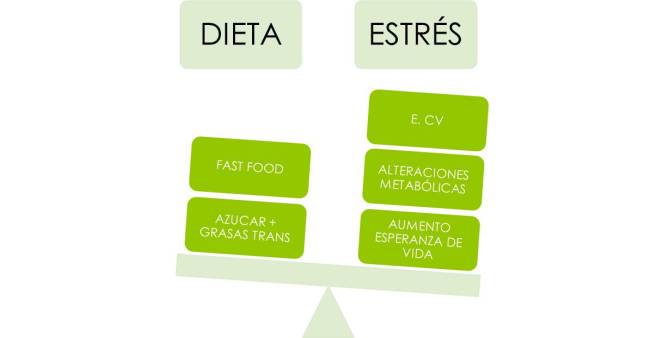estres oxidativo